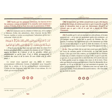 صفحات داخلية من كتاب ارشاد الساري بشرح شرح السنة تبين المتن والتعليقات والتوضيحات العقدية