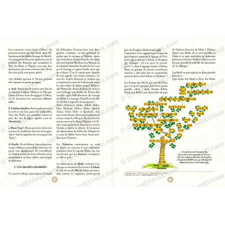 Extrait du livre avec arbre genealogique des tribus arabes et texte historique