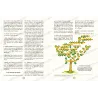 صفحة من الكتاب تعرض شجرة نسب القبائل العربية مع شرح تاريخي