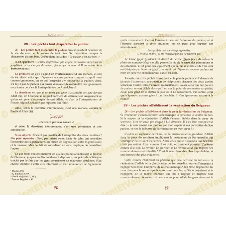 Inside pages of Sins and Healing by Ibn Al-Qayyim French book showing text about sins