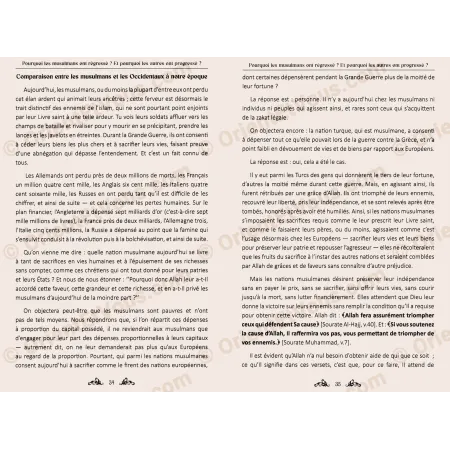 Sample pages showing analysis of Muslim decline and progress of nations in the book