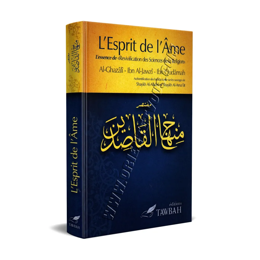 L'Esprit de l'Âme