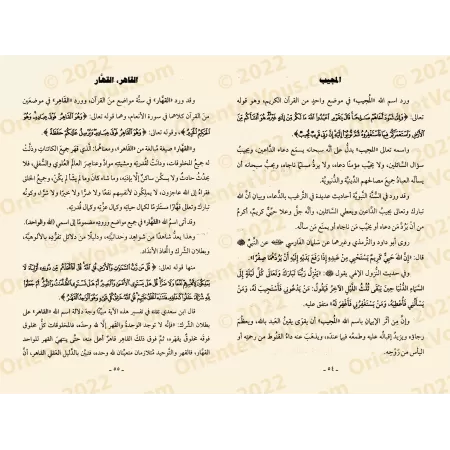 Comprendre les Noms d'Allah [Version Résumée]/مختصر فقه الأسماء الحسنى