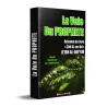 La Voie du Prophète [Résumé du livre "Zâd al-Ma'âd" d'Ibn al-Qayyim]