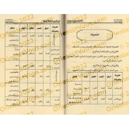 Vulgarisation de "at-Tuhfatu as-Saniyyah": l'explication d'al-Âjurûmiyyah/الأغصان الندية في تقريب التحفة السنية