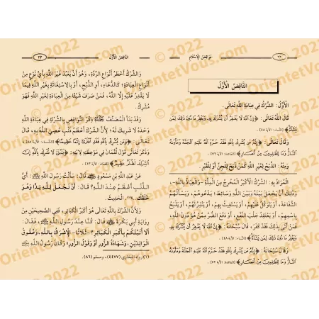 Explication des Annulatifs de l'Islam [Raslân]/شرح نواقض الإسلام - رسلان