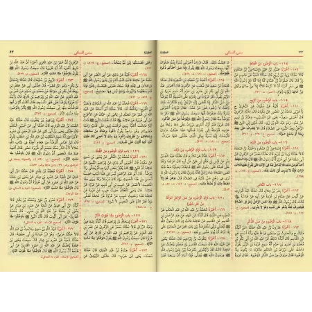 Les Quatre Sunan/السنن الأربعة