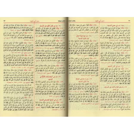 Les Quatre Sunan/السنن الأربعة