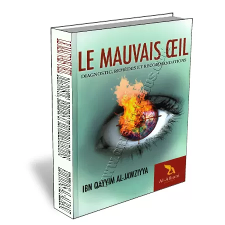 Le mauvais &oelig;il: diagnostic, rem&egrave;des et recommandations