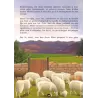Histoire de "Mo&iuml;se (Moussa) et le buisson ardent"