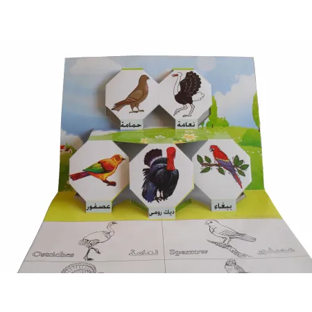 Apprendre les oiseaux en relief