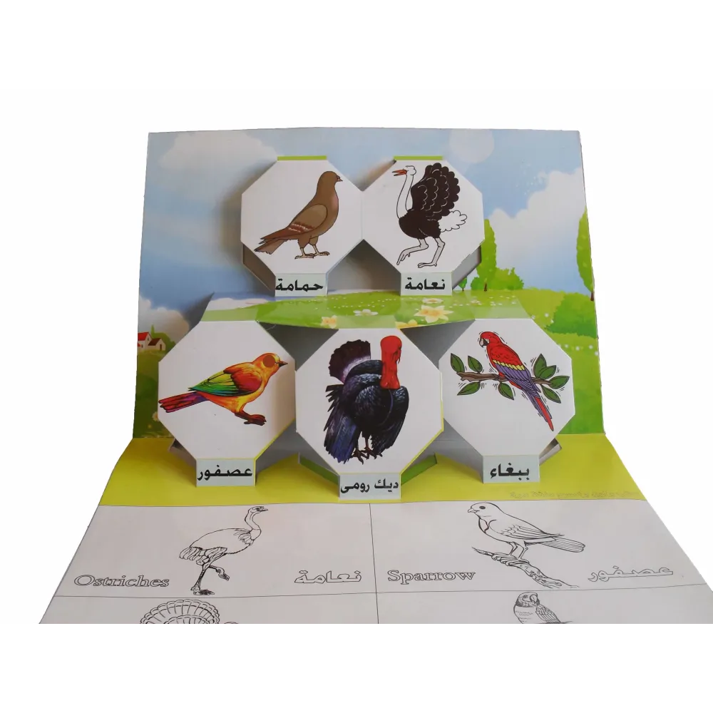Apprendre les oiseaux en relief