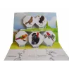 Apprendre les oiseaux en relief