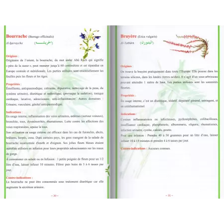 Huiles et Plantes médicinales