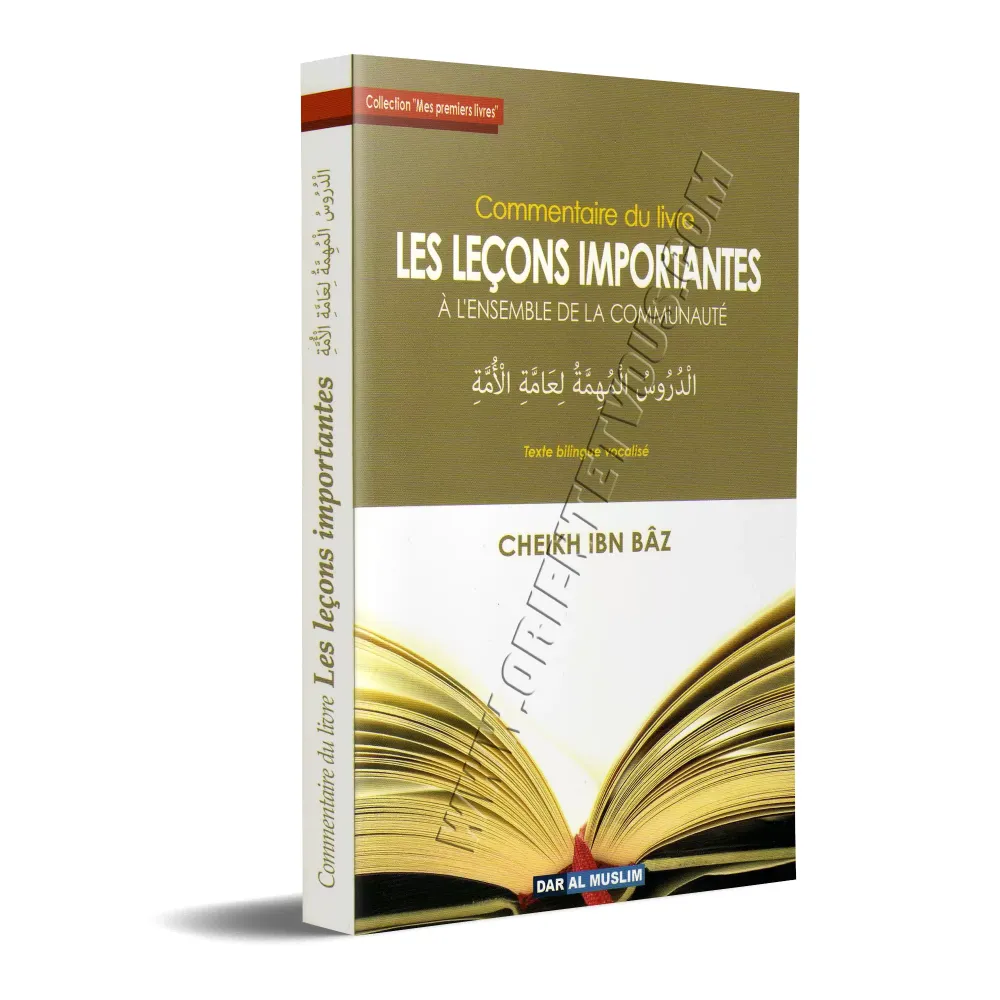 Commentaire du livre: Les leçons importantes
