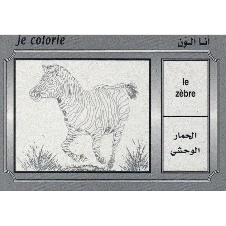 Cartes &eacute;ducatives bilingues (arabe/fran&ccedil;ais): Les animaux domestiques et sauvages