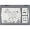 Cartes &eacute;ducatives bilingues (arabe/fran&ccedil;ais): Les animaux domestiques et sauvages