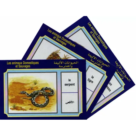 Cartes &eacute;ducatives bilingues (arabe/fran&ccedil;ais): Les animaux domestiques et sauvages