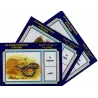 Cartes &eacute;ducatives bilingues (arabe/fran&ccedil;ais): Les animaux domestiques et sauvages