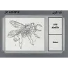 Cartes &eacute;ducatives bilingues (arabe/fran&ccedil;ais): Les oiseaux et insectes