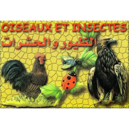 Cartes &eacute;ducatives bilingues (arabe/fran&ccedil;ais): Les oiseaux et insectes