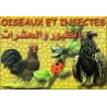 Cartes &eacute;ducatives bilingues (arabe/fran&ccedil;ais): Les oiseaux et insectes