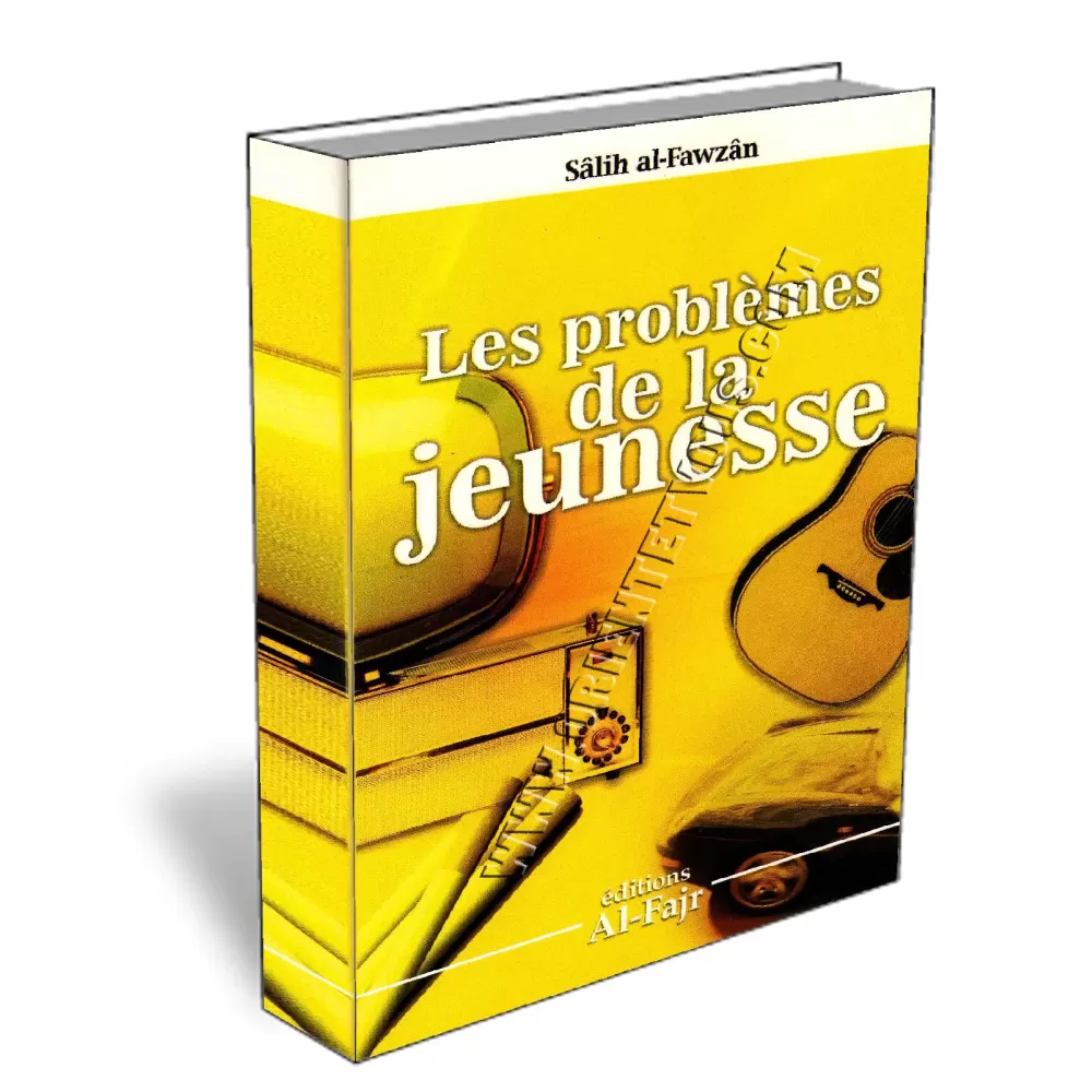 Les Probl&egrave;mes de la Jeunesse