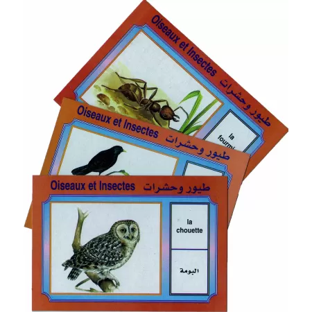 Cartes &eacute;ducatives bilingues (arabe/fran&ccedil;ais): Les oiseaux et insectes