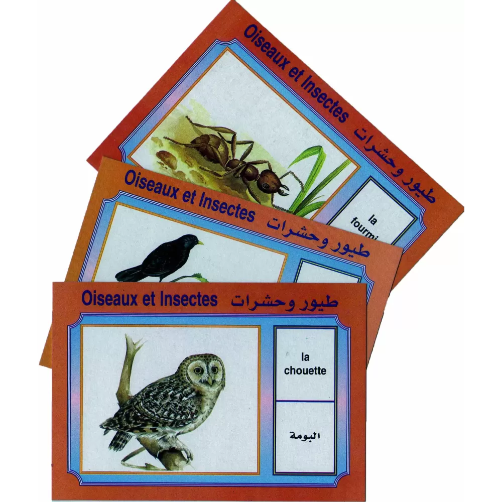 Cartes &eacute;ducatives bilingues (arabe/fran&ccedil;ais): Les oiseaux et insectes