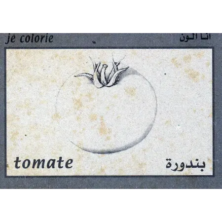 Cartes &eacute;ducatives bilingues (arabe/fran&ccedil;ais): Les fruits et l&eacute;gumes