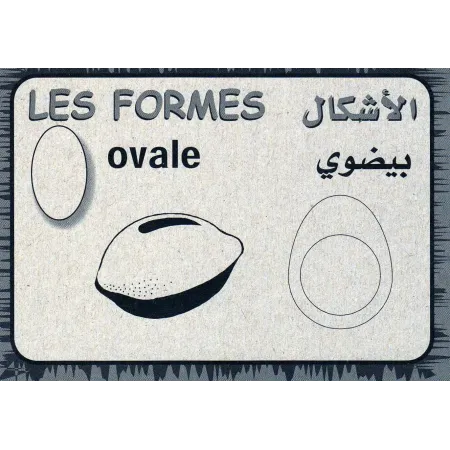 Cartes &eacute;ducatives bilingues (arabe/fran&ccedil;ais): Les couleurs er les formes