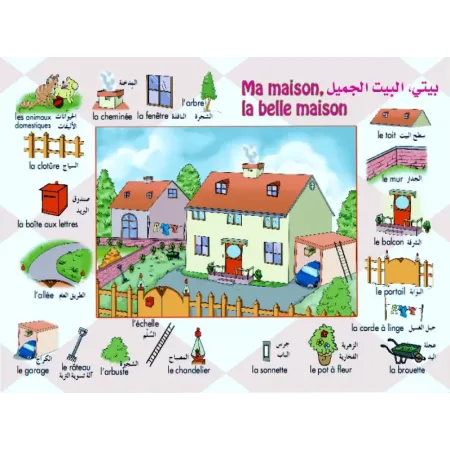 Mes 500 Premiers Mots illustr&eacute;s (arabe/fran&ccedil;ais)