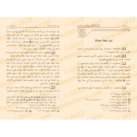 Les sélections évidentes des sujets de jurisprudence: annotations et correction de l'explication de Mukhtasar al-Muqni'/المختارا