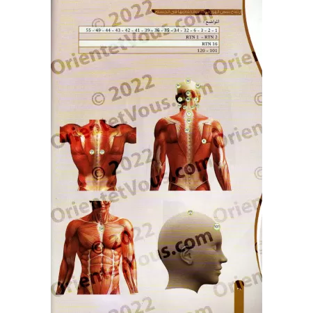 Atlas de la Hijâma/أطلس الحجامة