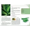 Plantes Médicinales de Méditerranée et d'Orient