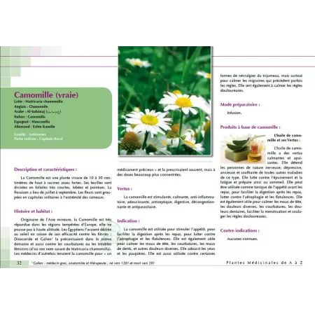 Plantes Médicinales de Méditerranée et d'Orient
