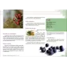 Plantes Médicinales de Méditerranée et d'Orient