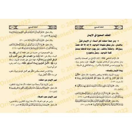 Compilation des Ouvrages et recherches du Shaykh 'Abd as-Salâm b. Burjis/مجموع مؤلفات وتحقيقات الشيخ عبد السلام بن برجس