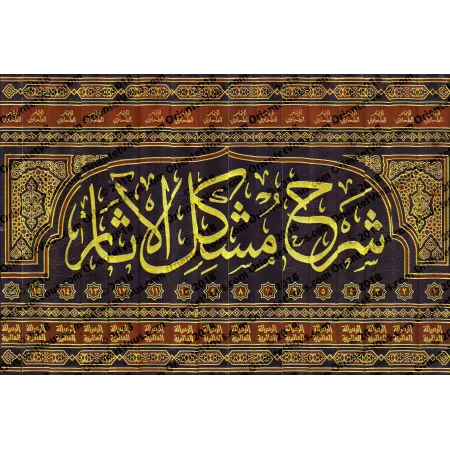 Sharh Mushkil al-Âthâr/شرح مشكل الآثار