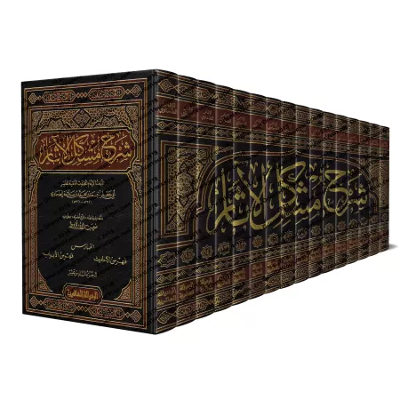 Sharh Mushkil al-Âthâr/شرح مشكل الآثار