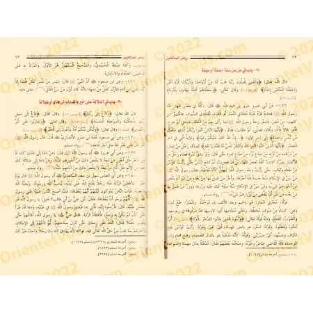 Riyâd as-Sâlihîn [Edition Egyptienne]/رياض الصالحين [طبعة مصرية]
