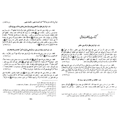 Résumé de Sahîh Muslim [al-Mundhirî - Tahqîq:al-Albânî]/مختصر صحيح مسلم - المنذري [تحقيق: الألباني]