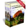 L&#039;authentique des r&eacute;cits des proph&egrave;tes [Histoires illustr&eacute;es] - 2 tomes