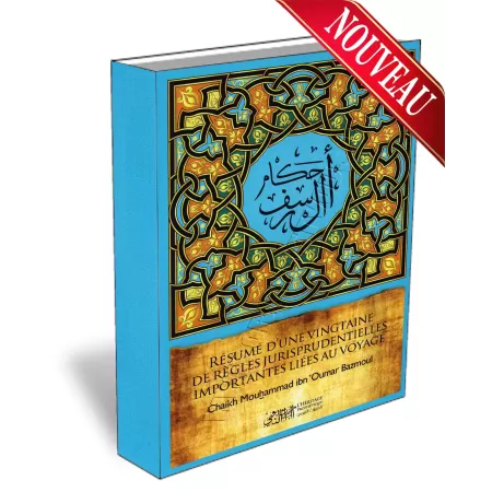 R&eacute;sum&eacute; d"une Vingtaine de R&egrave;gles Jurisprudentielles Importantes li&eacute;es au Voyage