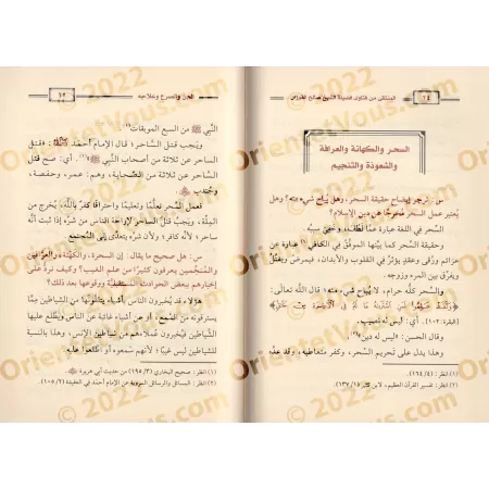 Les Djinns, l'épilepsie et leurs remèdes/الجن والصرع وعلاجه