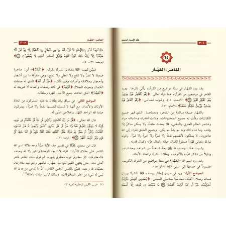 Comprendre les Noms d'Allah [Edition Saoudienne]/فقه الأسماء الحسنى