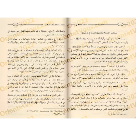 Les règles en matière de remède contre le mauvais oeil/نصوص الوحيين في أحكام الرقى من العين