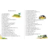 Mon premier Coran - Livre d'histoires