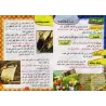 Récits des grands hommes de l'Islam parmi les jeunes Compagnons du Prophète ﷺ [2ème partie]/عظماء الإسلام ممن صحب النبي ﷺ من ال