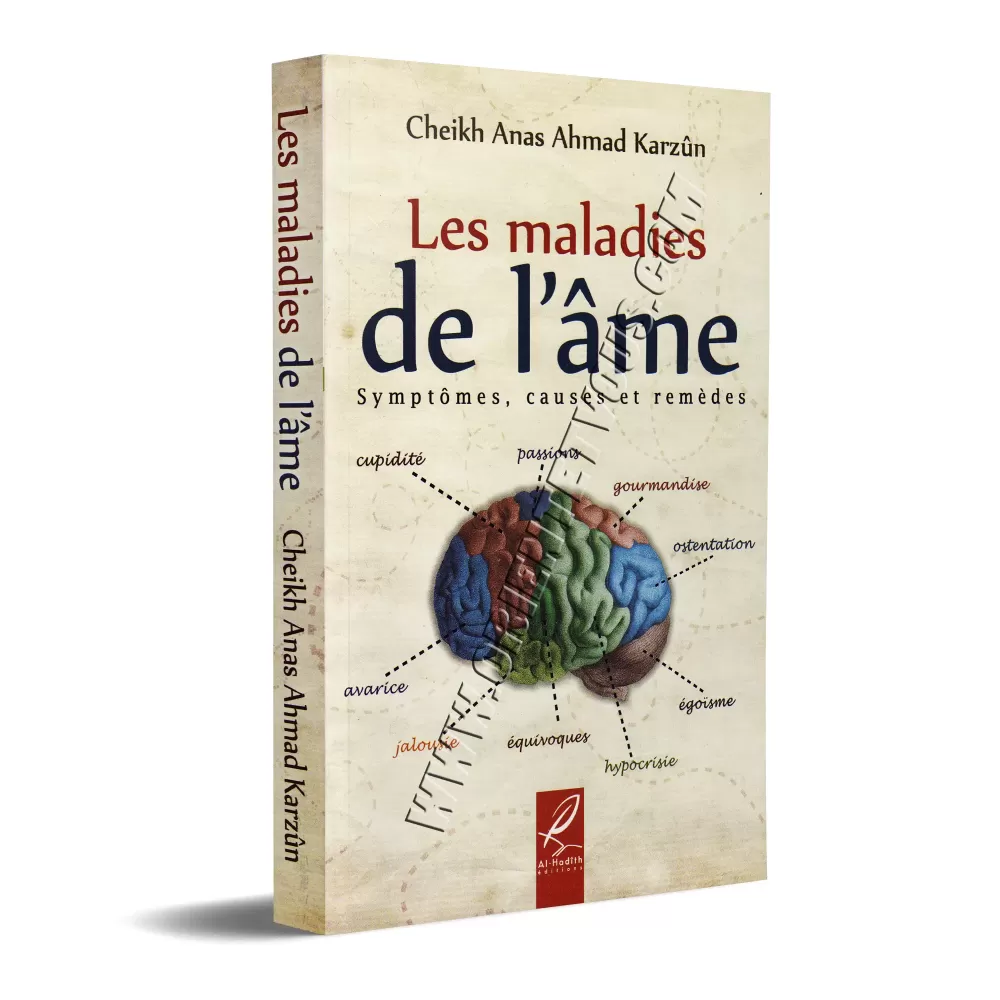 Les maladies de l'âme
